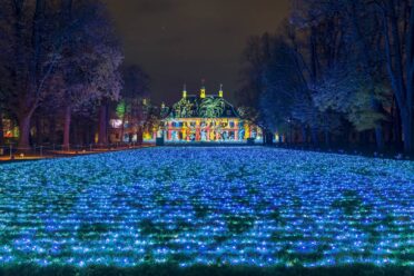 Field of Lights